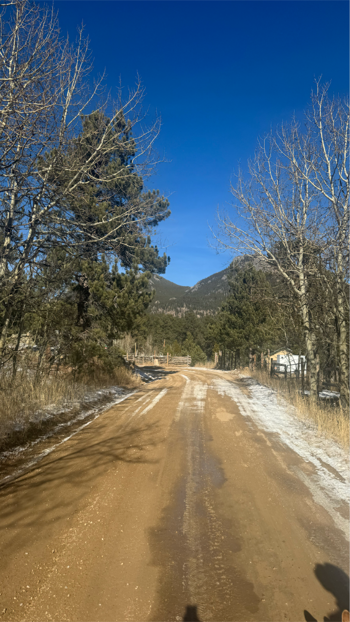 “A partially snow-covered dirt road lined with leafless trees and evergreens, leading toward forested mountains. A rustic fence and small buildings sit along the road under a vivid blue sky.”