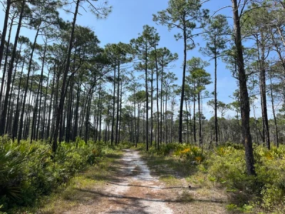 Topsail Hill State Park