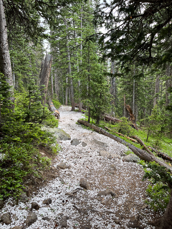 A thunderstorm appeared, bringing hail with it