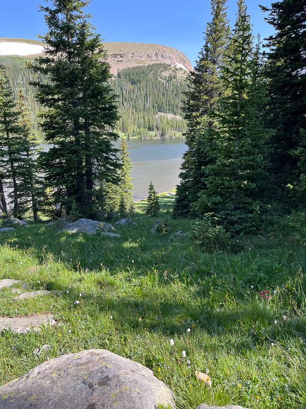 A view at the lake from above