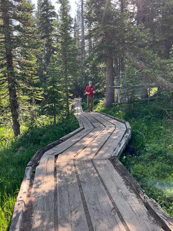 A wooden path to Long Wake